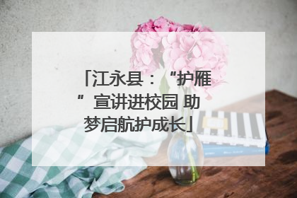 江永县：“护雁”宣讲进校园 助梦启航护成长