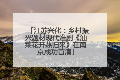 江苏兴化：乡村振兴题材现代淮剧《油菜花开燕归来》在南京成功首演