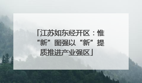 江苏如东经开区：惟“新”图强以“新”提质推进产业强区
