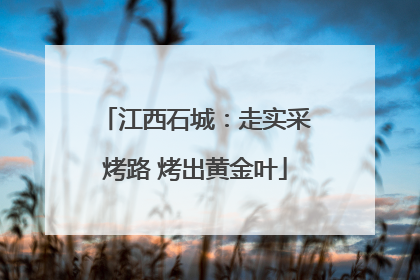 江西石城：走实采烤路 烤出黄金叶