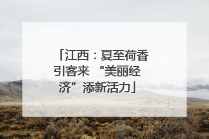 江西：夏至荷香引客来 “美丽经济”添新活力
