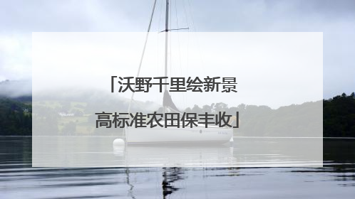 沃野千里绘新景 高标准农田保丰收