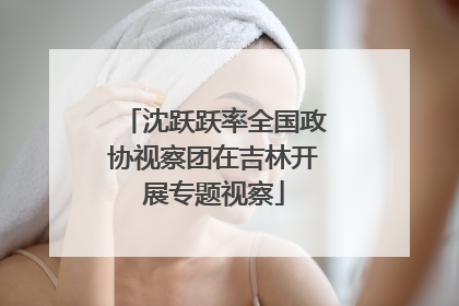 沈跃跃率全国政协视察团在吉林开展专题视察