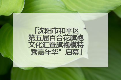 沈阳市和平区“第五届百合花旗袍文化汇暨旗袍模特秀嘉年华”启幕