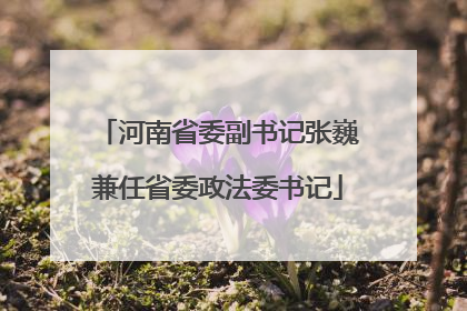 河南省委副书记张巍兼任省委政法委书记