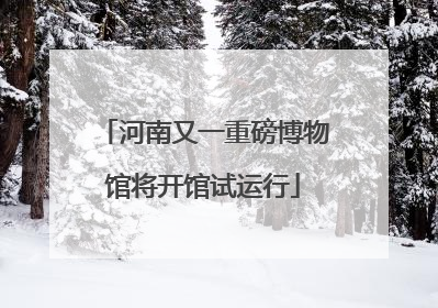 河南又一重磅博物馆将开馆试运行