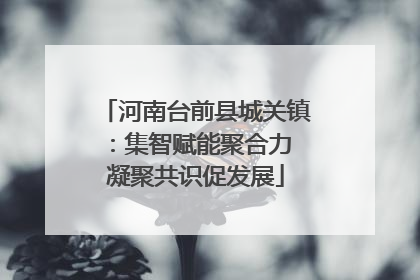 河南台前县城关镇：集智赋能聚合力 凝聚共识促发展