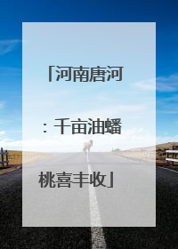 河南唐河：千亩油蟠桃喜丰收