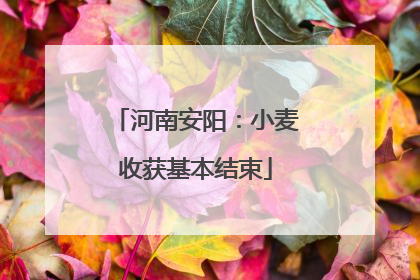 河南安阳：小麦收获基本结束