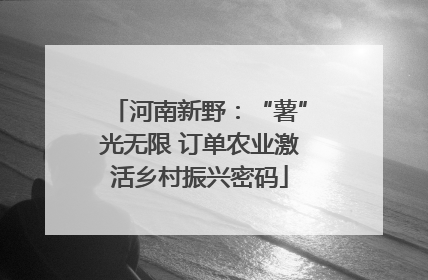 河南新野：“薯”光无限 订单农业激活乡村振兴密码