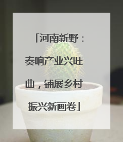 河南新野：奏响产业兴旺曲，铺展乡村振兴新画卷