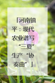 河南镇平：现代农业谱写“三夏”生产“协奏曲”