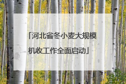 河北省冬小麦大规模机收工作全面启动
