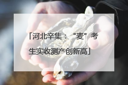 河北辛集：“麦”考生实收测产创新高