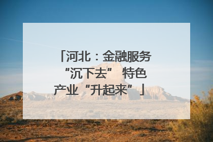 河北：金融服务“沉下去” 特色产业“升起来”