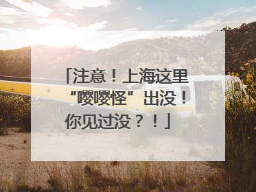 注意！上海这里“嘤嘤怪”出没！你见过没？！