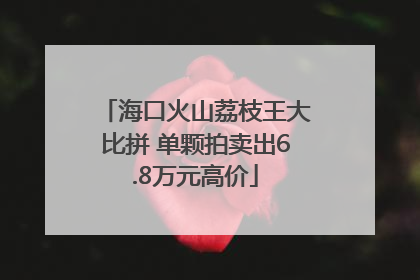 海口火山荔枝王大比拼 单颗拍卖出6.8万元高价
