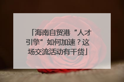 海南自贸港“人才引擎”如何加速？这场交流活动有干货