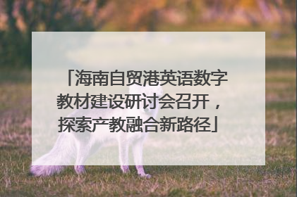 海南自贸港英语数字教材建设研讨会召开，探索产教融合新路径