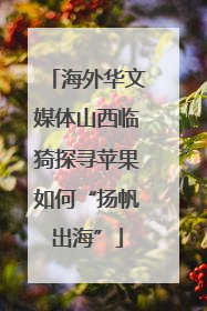 海外华文媒体山西临猗探寻苹果如何“扬帆出海”
