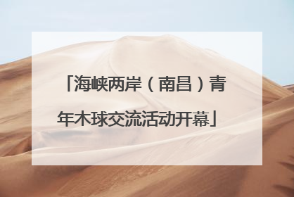海峡两岸（南昌）青年木球交流活动开幕