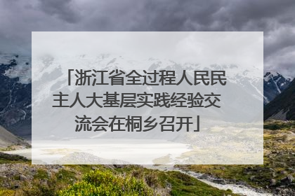 浙江省全过程人民民主人大基层实践经验交流会在桐乡召开