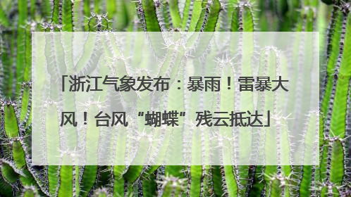 浙江气象发布：暴雨！雷暴大风！台风“蝴蝶”残云抵达