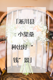 淅川县：小果桑种出好“钱”景