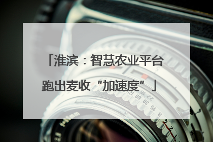 淮滨：智慧农业平台跑出麦收“加速度”