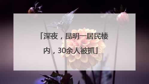 深夜，昆明一居民楼内，30余人被抓