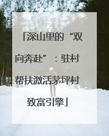 深山里的“双向奔赴”：驻村帮扶激活茅坪村致富引擎