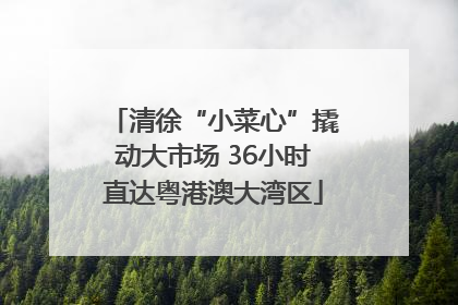 清徐“小菜心”撬动大市场 36小时直达粤港澳大湾区