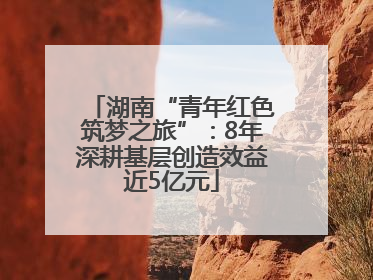 湖南“青年红色筑梦之旅”：8年深耕基层创造效益近5亿元