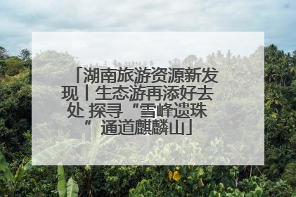 湖南旅游资源新发现丨生态游再添好去处 探寻“雪峰遗珠”通道麒麟山
