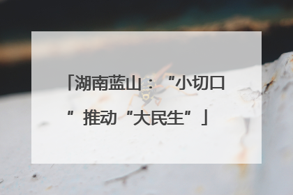 湖南蓝山：“小切口”推动“大民生”