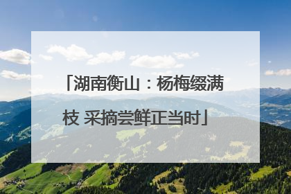 湖南衡山：杨梅缀满枝 采摘尝鲜正当时