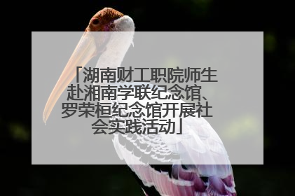 湖南财工职院师生赴湘南学联纪念馆、罗荣桓纪念馆开展社会实践活动