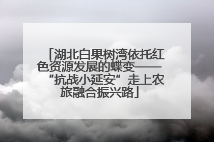 湖北白果树湾依托红色资源发展的蝶变——“抗战小延安”走上农旅融合振兴路