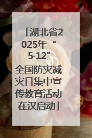 湖北省2025年“5·12”全国防灾减灾日集中宣传教育活动在汉启动