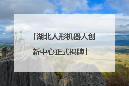 湖北人形机器人创新中心正式揭牌