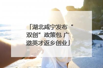 湖北咸宁发布“双创”政策包 广邀英才返乡创业