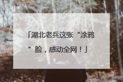 湖北老兵这张“涂鸦”脸，感动全网！