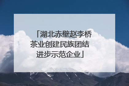 湖北赤壁赵李桥茶业创建民族团结进步示范企业