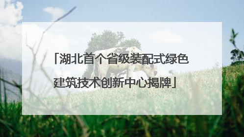 湖北首个省级装配式绿色建筑技术创新中心揭牌