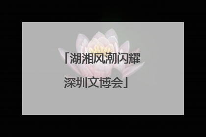 湖湘风潮闪耀深圳文博会