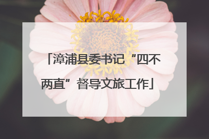 漳浦县委书记“四不两直”督导文旅工作