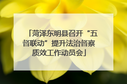菏泽东明县召开“五督联动”提升法治督察质效工作动员会