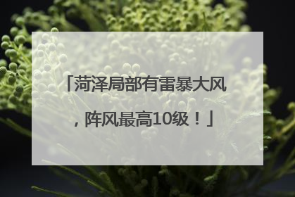 菏泽局部有雷暴大风，阵风最高10级！