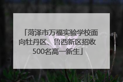 菏泽市万福实验学校面向牡丹区、鲁西新区招收500名高一新生