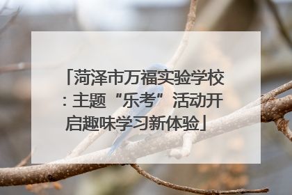 菏泽市万福实验学校：主题“乐考”活动开启趣味学习新体验